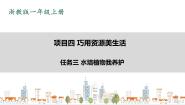 小学劳技浙教版一年级上册任务三 水培植物我养护优质课件ppt