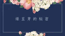 2.绿豆芽的秘密 课件 2023-2024学年小学劳动二年级上册（人教版）