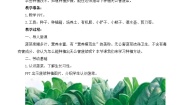 小学劳技人教版四年级上册9 无公害菠菜我能种教学设计及反思
