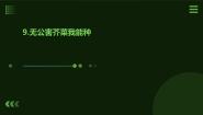 小学劳技人教版四年级上册9 无公害菠菜我能种教课ppt课件