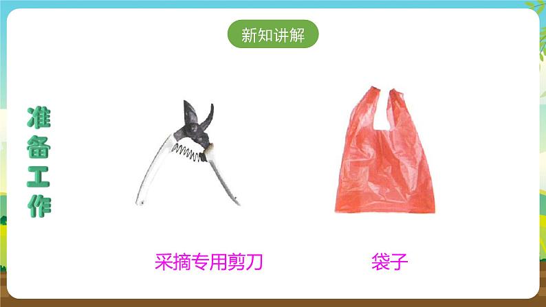 人教版四下劳技 项目十《小果农》课件第4页