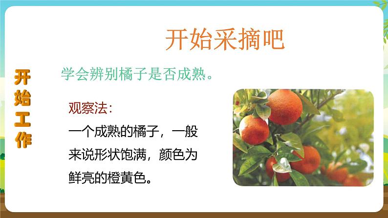 人教版四下劳技 项目十《小果农》课件第6页