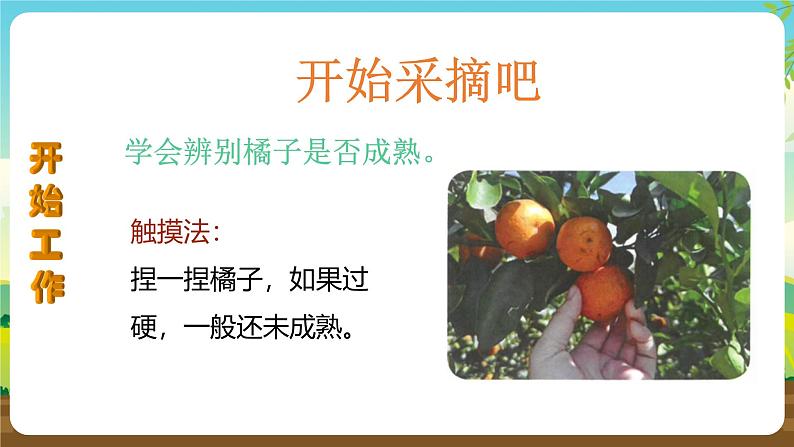 人教版四下劳技 项目十《小果农》课件第7页
