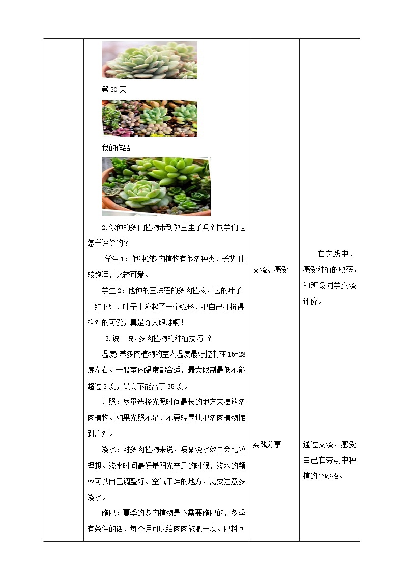 人教版五下劳技 项目六《种多肉植物装饰教室》教案第3页