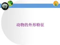 第19课 摸物背形 课件+素材