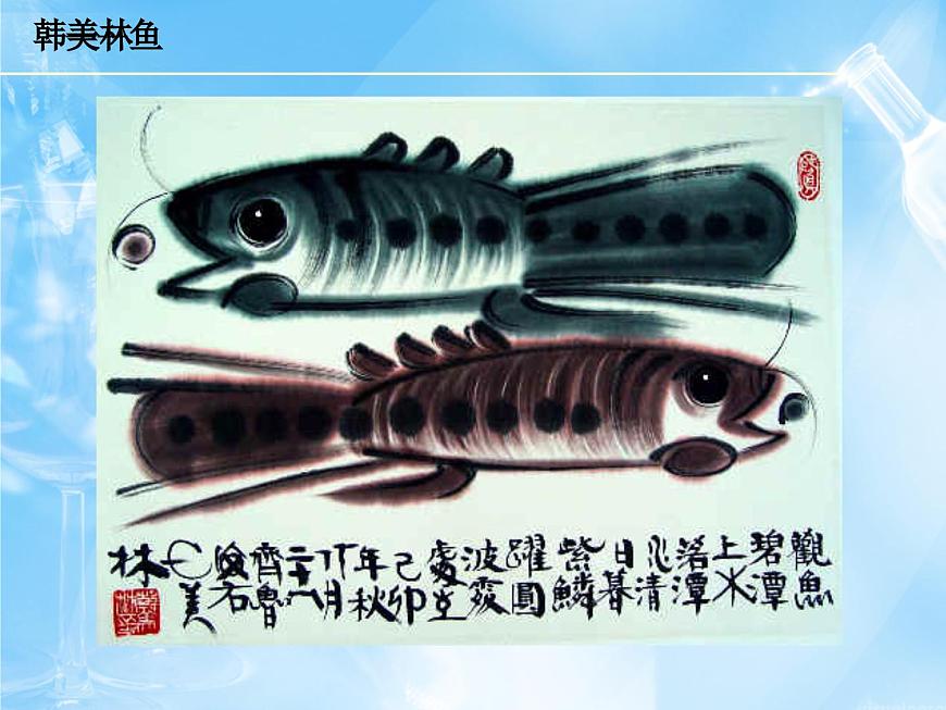 看大師畫(huà)魚(yú)第2頁(yè)