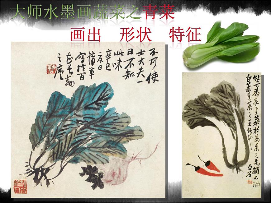 美術(shù)六年級上蘇少版3水墨畫蔬菜課件（20張幻燈片）第5頁