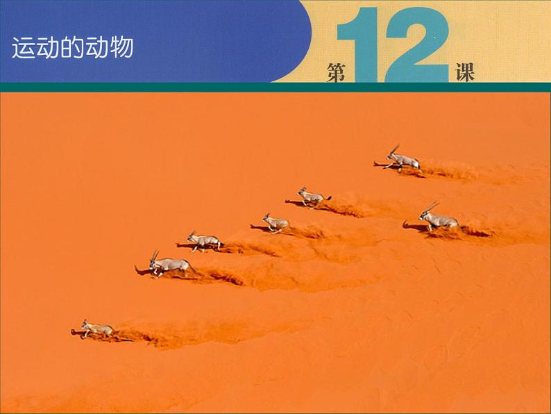 美术六年级上苏少版:12运动的动物PPT课件01