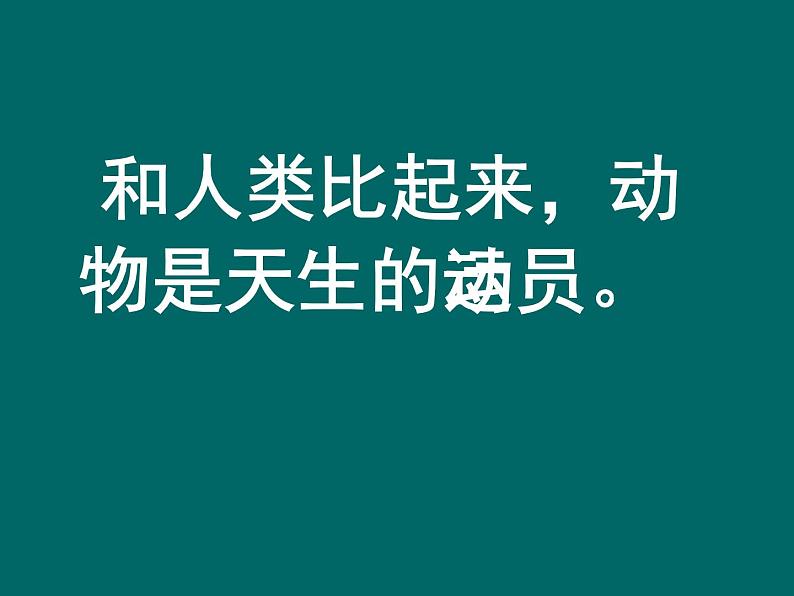 美术六年级上苏少版:12运动的动物PPT课件02