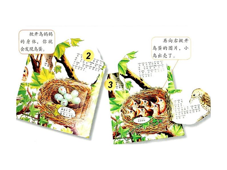 美术三年级上冀美版9.哪里藏 课件+教案+素材04