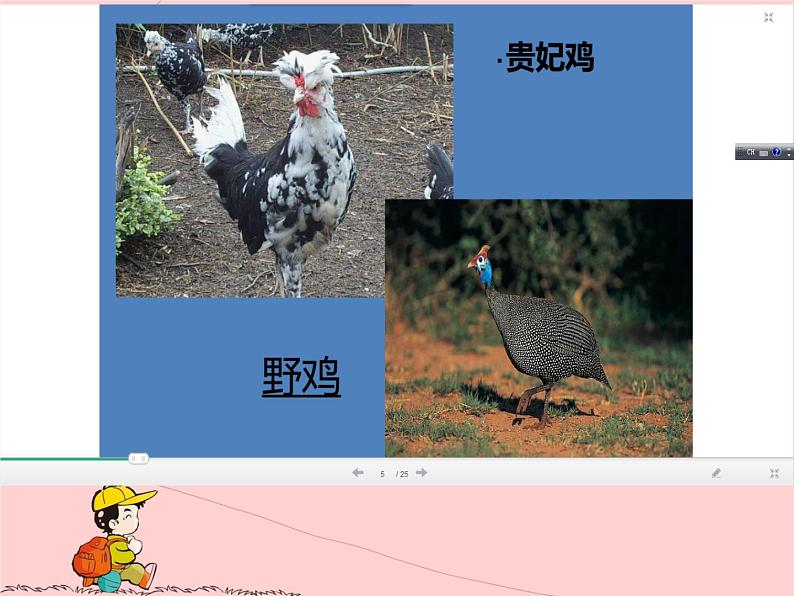 美术四年级上冀美版6.大花鸡(课件+教案)06