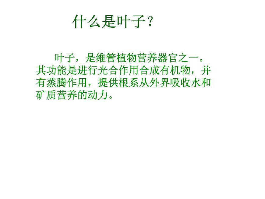 不同葉子的形態(tài)第2頁