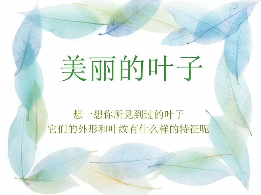 《美麗的葉子》課件第1頁