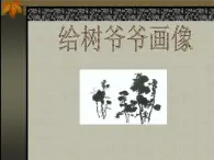 给树爷爷画像 课件+教案+素材