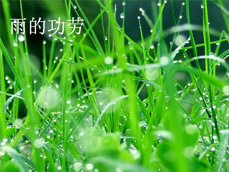 雨来了 课件+教案+素材02