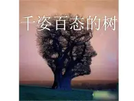 千姿百态的树 课件+教案+素材