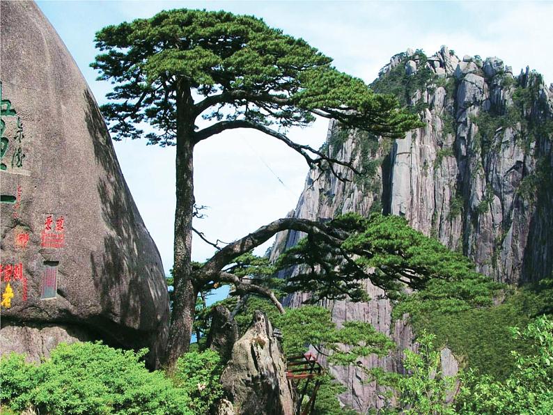 六年级下册美术课件-13 祖国美景知多少 -浙美版第7页