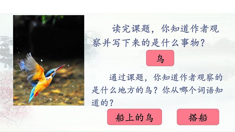 15.搭船的鸟(教学课件)第6页