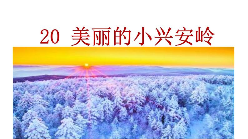 部编语文三上:20.美丽的小兴安岭 精品PPT课件+素材07