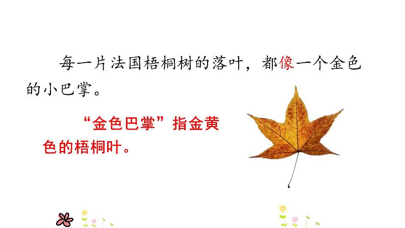 部编语文三上:5.铺满金色巴掌的水泥道 精品PPT课件+素材06