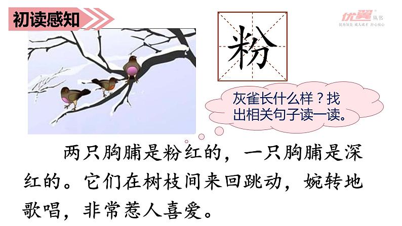 部编语文三上:26灰雀 精品PPT课件+素材06