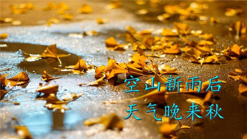 部编版语文三上5.《铺满金色巴掌的水泥道》(含课件、教案、同步练习)04
