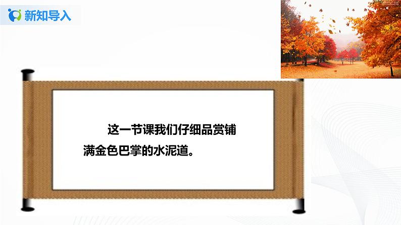 部编版语文三上5.《铺满金色巴掌的水泥道》(含课件、教案、同步练习)05