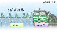 小学语文人教部编版六年级上册14* 在柏林课文内容ppt课件