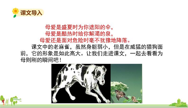 部编版语文四年级上册 16.《麻雀》PPT课件03