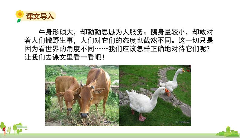 部编版语文四年级上册 18.《牛和鹅》PPT课件03