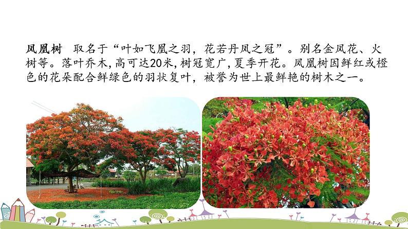 部编语文三年级(上)19《海滨小城(第一课时)》PPT课件+音频06