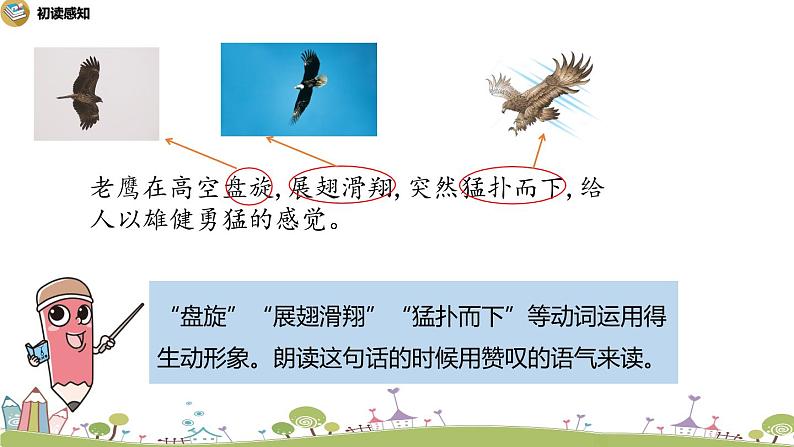 部编语文三年级(上)22《读不完的大书》课时2PPT课件+音频06