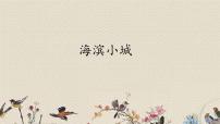 人教部编版19 海滨小镇课文配套ppt课件