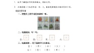 小学语文人教部编版一年级上册4 日月水火学案