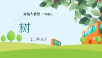 人教部编版二年级上册2 树之歌教案配套课件ppt