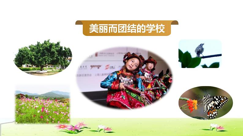 部编版三年级上册语文授课课件 第1单元 1.大青树下的小学品读释疑课件06