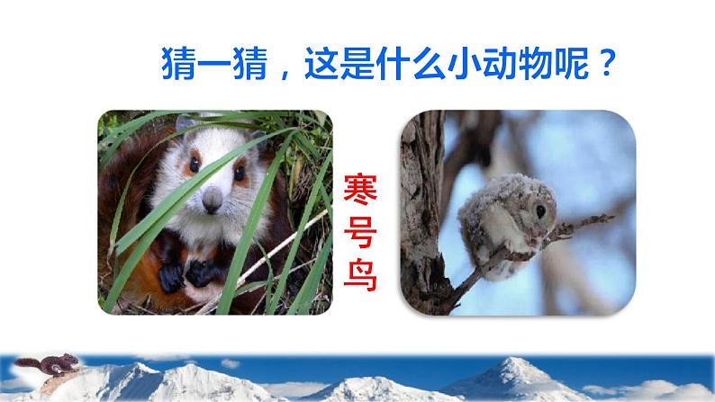 部编版二年级上册语文 第5单元 13 寒号鸟初读感知课件第2页