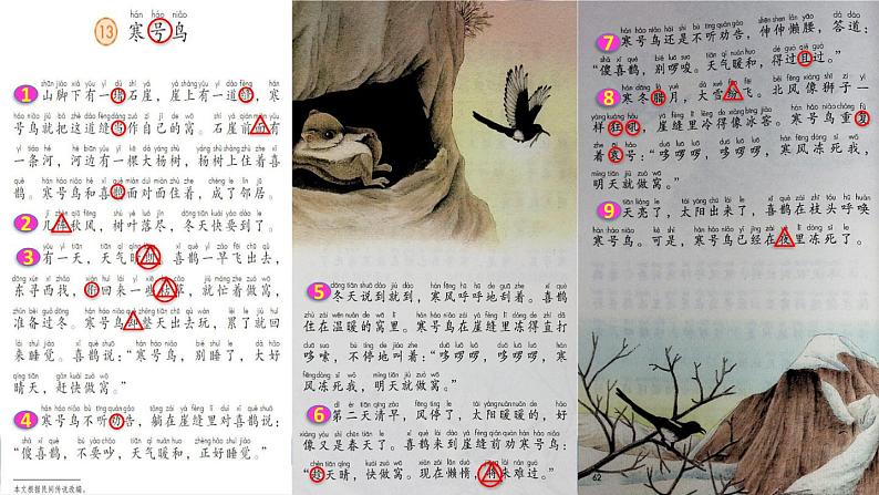 部编版二年级上册语文 第5单元 13 寒号鸟初读感知课件第5页