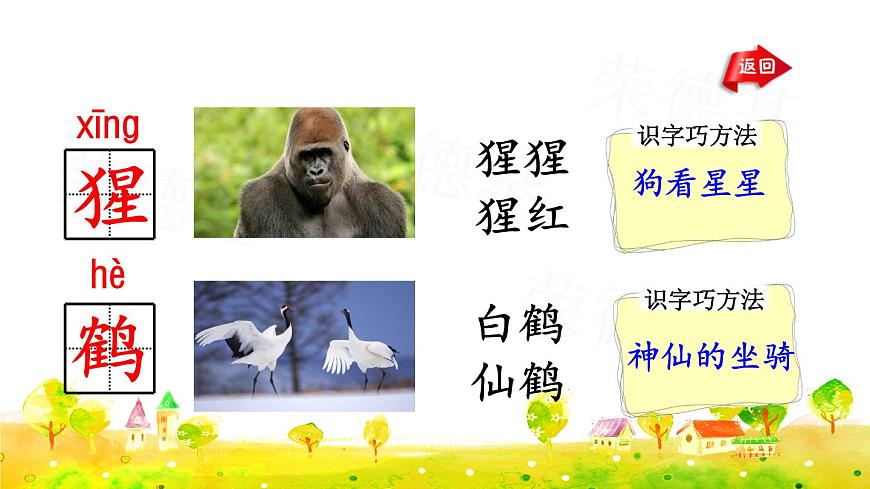 部編版二年級上冊語文 第8單元 語文園地八 課件第4頁
