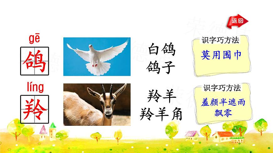部編版二年級上冊語文 第8單元 語文園地八 課件第5頁