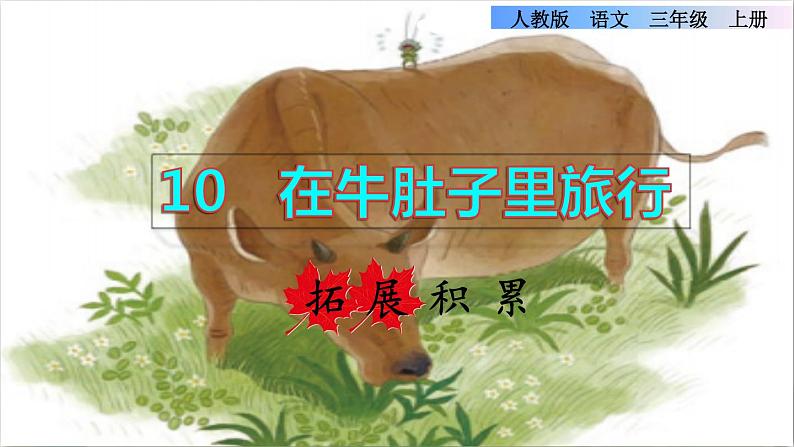 部编版三年级上册语文授课课件 第3单元 10 在牛肚子里旅行拓展积累课件第1页