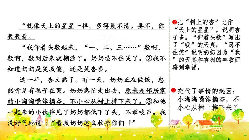 部编版四年级上册语文 第五单元 习作例文课件PPT第3页