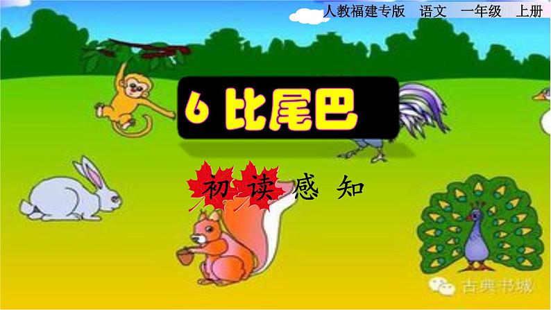 部编版一年级上册语文 第6单元 6.比尾巴初读感知课件第1页
