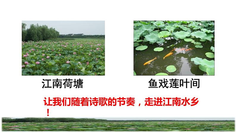 部编版一年级上册语文 第4单元 3.江南课前预习课件02