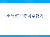 【小升初】语文总复习课件 - 古诗词复习课件