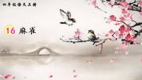 人教部编版四年级上册第五单元16 麻雀教课ppt课件