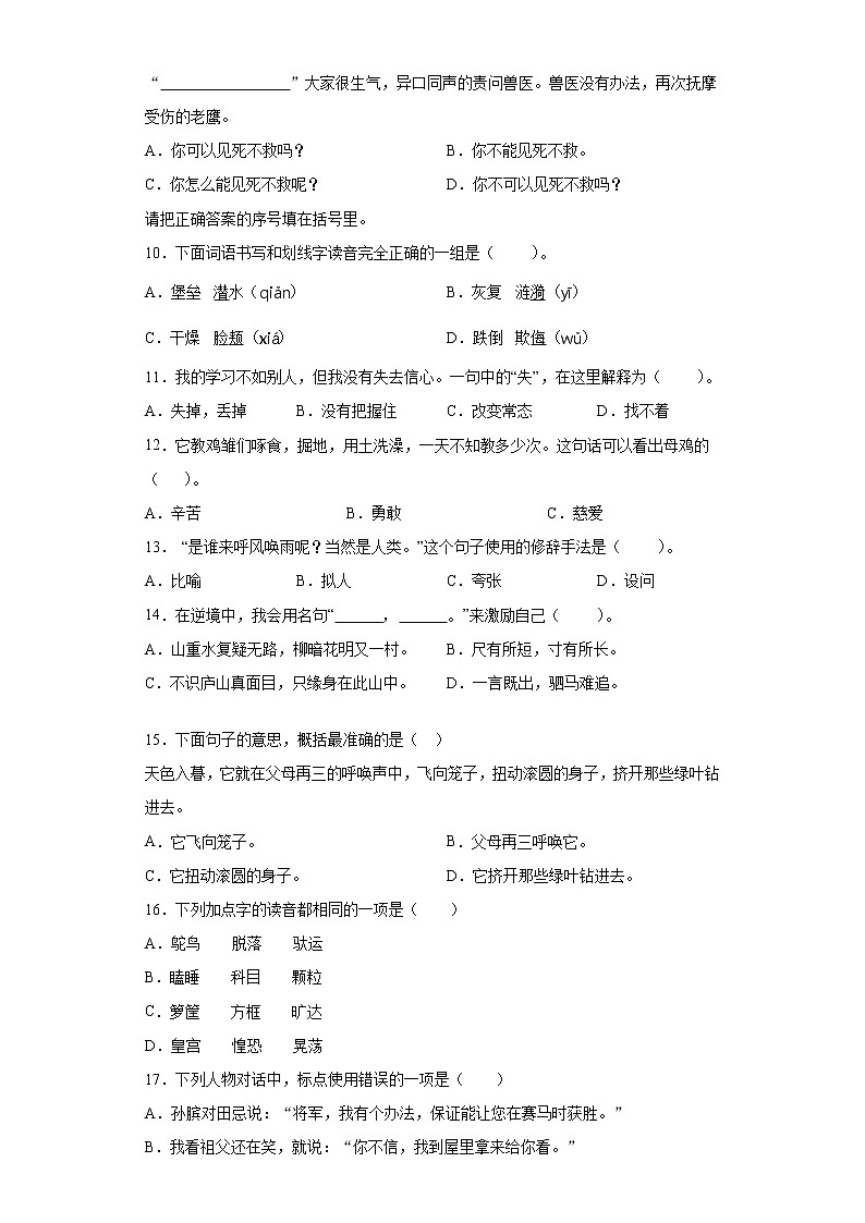 2021暑假预热——广东省深圳市小升初语文练习试题(二)第2页