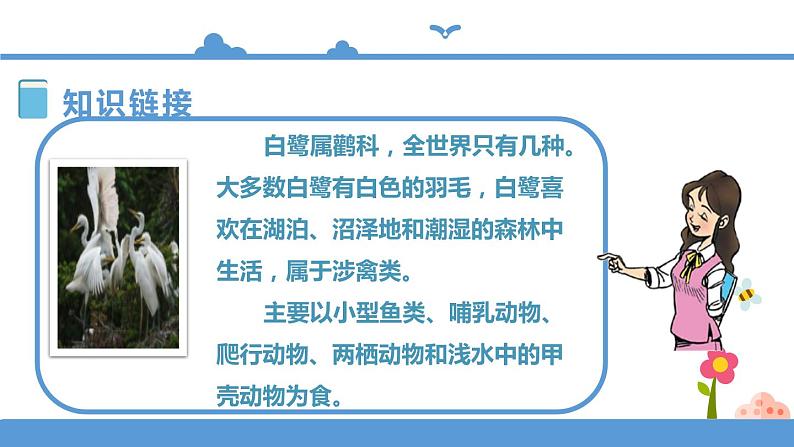 人教部编版五年级小学语文上册1《白鹭》 课件教案试卷05