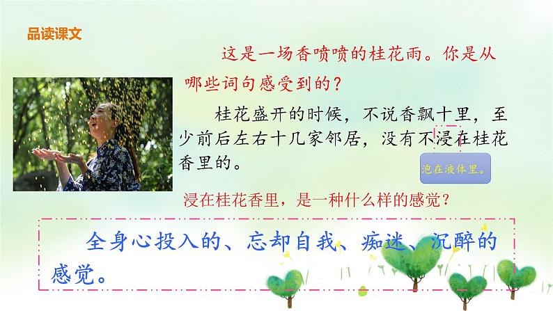 3《桂花雨》第二课时 课件第5页
