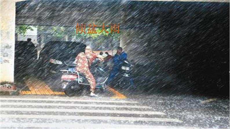 3《桂花雨》第一课时 课件第2页